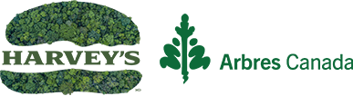 Harveys Tree Canada logo