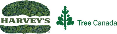 Harveys Tree Canada logo